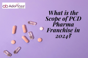 What is the Scope of PCD Pharma Franchise in 2024