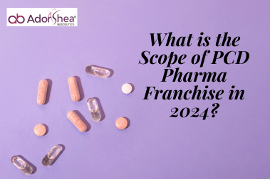 What is the Scope of PCD Pharma Franchise in 2024